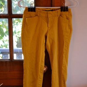 Mustard Yellow, Slacks!